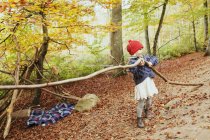 Girl carrying tree in forest — Stock Photo