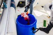 Mann wirft Fische in Container — Stockfoto
