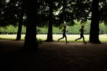 Mujeres jóvenes corriendo en el parque - foto de stock