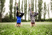 Jeunes femmes pratiquant le yoga — Photo de stock