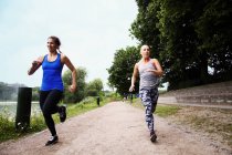 Mulheres esportivas correndo no caminho — Fotografia de Stock