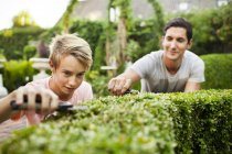Father and son pruning plants — Stock Photo