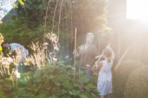 Glückliche gemeinsame Gartenarbeit der Familie — Stockfoto