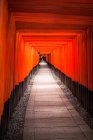 Camino de puertas torii en Kyoto - foto de stock