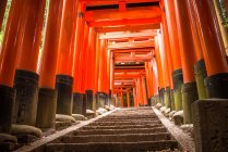 Camino de las puertas torii - foto de stock