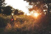 Mann geht bei Sonnenuntergang auf Feld — Stockfoto