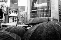 Зонты под дождем на переправе Сибуя — стоковое фото