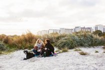 Amigos sentados com cães na praia — Fotografia de Stock
