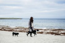 Femme marchant avec des chiens — Photo de stock