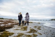 Female friends walking with dogs — Stock Photo
