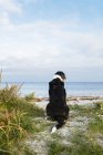 Собака сидить на пляжі — стокове фото