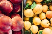Pfirsiche und Aprikosen zum Verkauf — Stockfoto