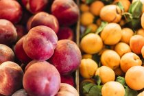 Персики і абрикоси на продаж — стокове фото