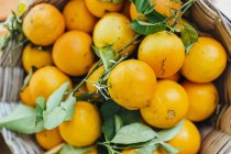 Oranges in wicker basket — Stock Photo