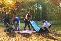 Подготовка семьи к пикнику в лесу — стоковое фото