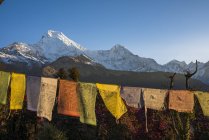 Banderas tibetanas de oración - foto de stock