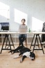 Dog relaxing on hardwood in office — Stock Photo