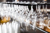 Wineglasses hanging from rack — Stock Photo