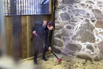 Mulher limpando esterco no estábulo — Fotografia de Stock