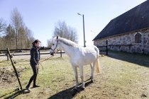 Mulher de pé com cavalo branco no campo — Fotografia de Stock