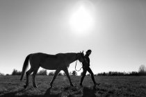 Donna che cammina con cavallo su campo erboso — Foto stock