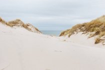 Dunas de areia por mar — Fotografia de Stock