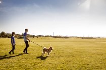 Пара з собакою, що йде в парку — стокове фото