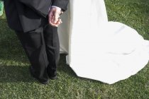 Noiva e noivo no campo gramado — Fotografia de Stock
