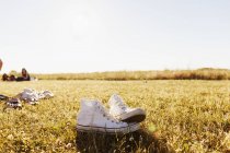 Zapatos de lona blanca en el campo cubierto de hierba - foto de stock