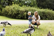 Woman with son watching geese — Stock Photo