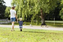 Mother and son watching geese — Stock Photo