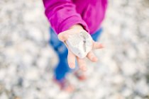 Girl holding pebble — Stock Photo