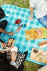 Vista de ángulo alto de amigos disfrutando de picnic - foto de stock