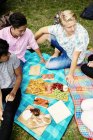 Amici che hanno cibo durante il picnic — Foto stock