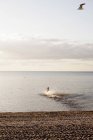 Homem correndo no mar — Fotografia de Stock