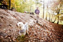 Girl walking with Bichon Frise in forest — Stock Photo