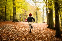 Ragazza che corre nella foresta durante l'autunno — Foto stock