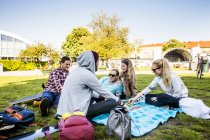 Glückliche Freunde genießen Picknick im Park — Stockfoto