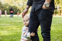 Дівчина обіймає батьків ноги в парку — стокове фото