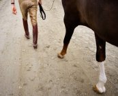 Pessoa que anda com cavalo — Fotografia de Stock