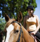 Cropped view of woman riding horse on sunny day — Stock Photo