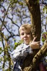 Low angle portrait of boy sitting on tree branch — Stock Photo