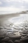 Orilla húmeda en la playa - foto de stock