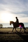 Silhouette jockey sitting on horse — Stock Photo