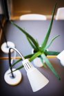 Lâmpada de mesa e Aloe Vera — Fotografia de Stock