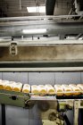 Хлібні хліби на конвеєрній стрічці — стокове фото