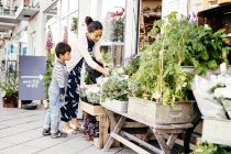 Mother with son choosing plants — Stock Photo
