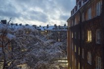 Casas y árboles cubiertos de nieve en invierno - foto de stock