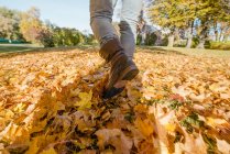 L'uomo cammina in foglie cadute di autunno — Foto stock