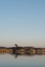 Живописное озеро, спокойная полоса — стоковое фото